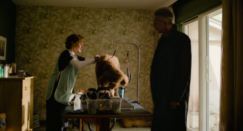 The Shrouds (2024) download